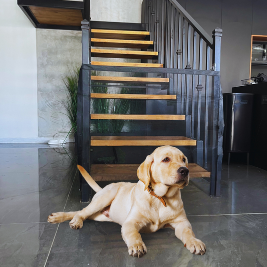 סגירת מדרגות